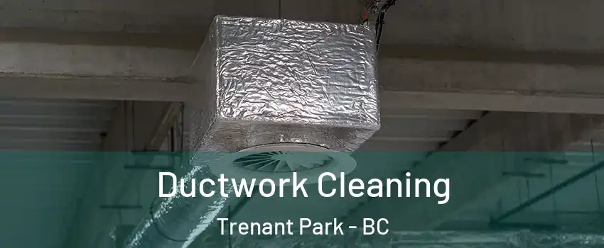  Ductwork Cleaning Trenant Park - BC