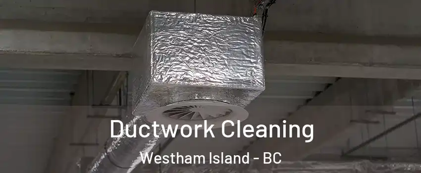  Ductwork Cleaning Westham Island - BC