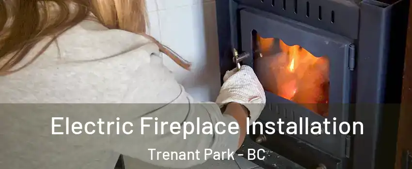  Electric Fireplace Installation Trenant Park - BC