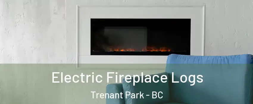  Electric Fireplace Logs Trenant Park - BC