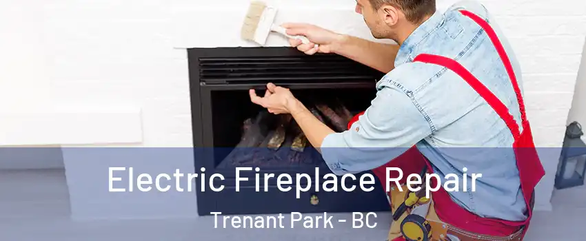 Electric Fireplace Repair Trenant Park - BC