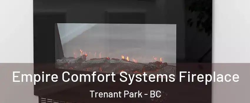  Empire Comfort Systems Fireplace Trenant Park - BC