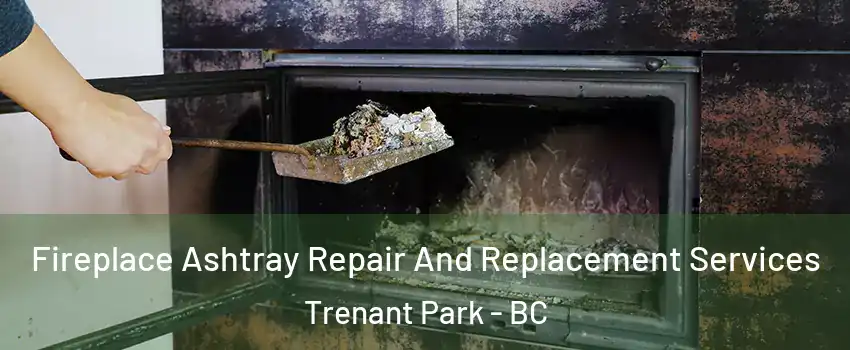  Fireplace Ashtray Repair And Replacement Services Trenant Park - BC