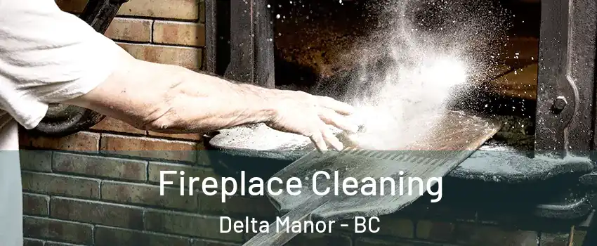  Fireplace Cleaning Delta Manor - BC