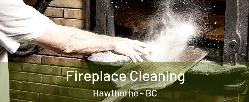  Fireplace Cleaning Hawthorne - BC