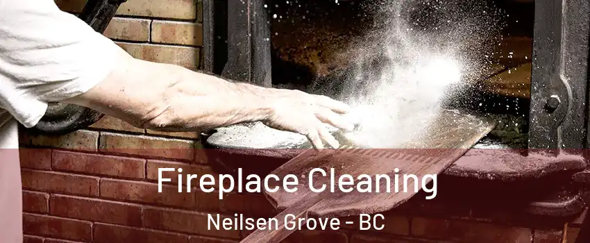  Fireplace Cleaning Neilsen Grove - BC