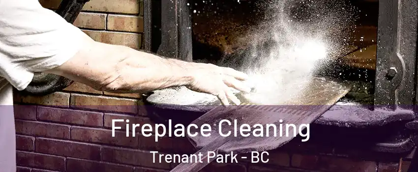  Fireplace Cleaning Trenant Park - BC