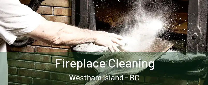  Fireplace Cleaning Westham Island - BC