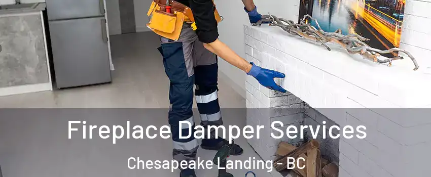  Fireplace Damper Services Chesapeake Landing - BC