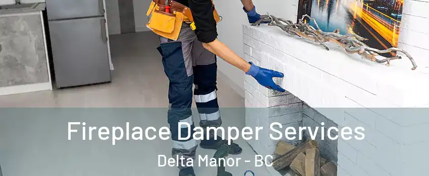 Fireplace Damper Services Delta Manor - BC