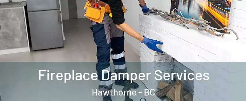  Fireplace Damper Services Hawthorne - BC