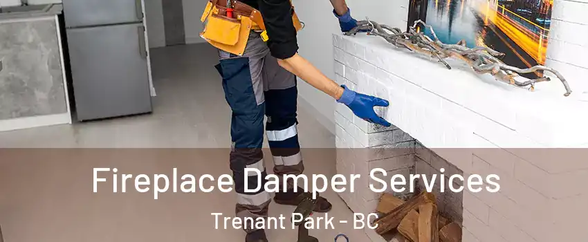 Fireplace Damper Services Trenant Park - BC