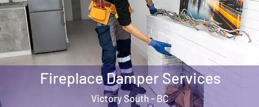  Fireplace Damper Services Victory South - BC