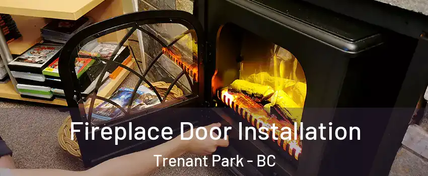  Fireplace Door Installation Trenant Park - BC