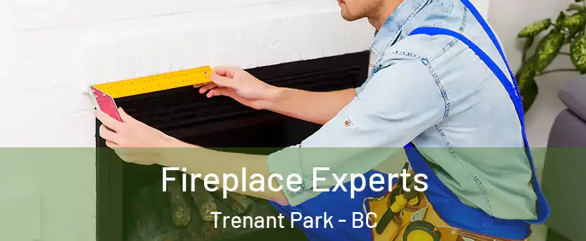  Fireplace Experts Trenant Park - BC