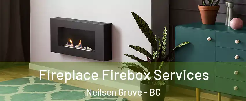 Fireplace Firebox Services Neilsen Grove - BC
