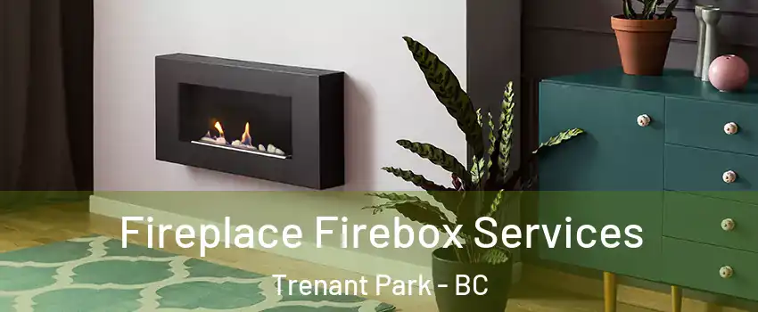  Fireplace Firebox Services Trenant Park - BC