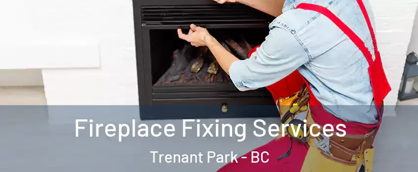  Fireplace Fixing Services Trenant Park - BC
