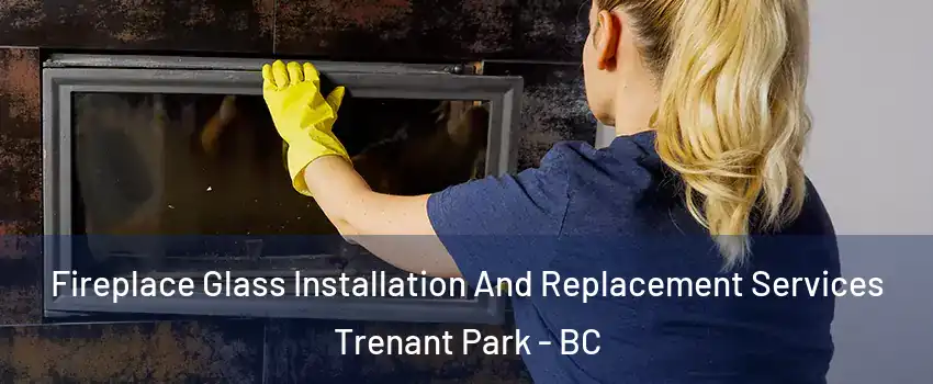  Fireplace Glass Installation And Replacement Services Trenant Park - BC