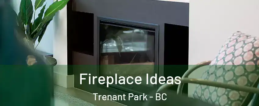  Fireplace Ideas Trenant Park - BC