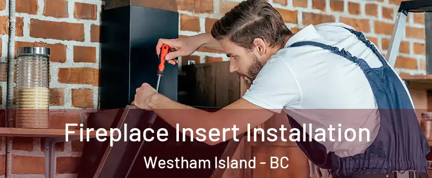  Fireplace Insert Installation Westham Island - BC