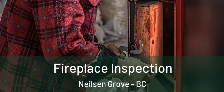  Fireplace Inspection Neilsen Grove - BC