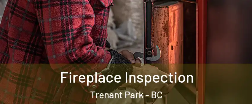  Fireplace Inspection Trenant Park - BC