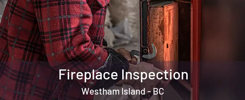  Fireplace Inspection Westham Island - BC