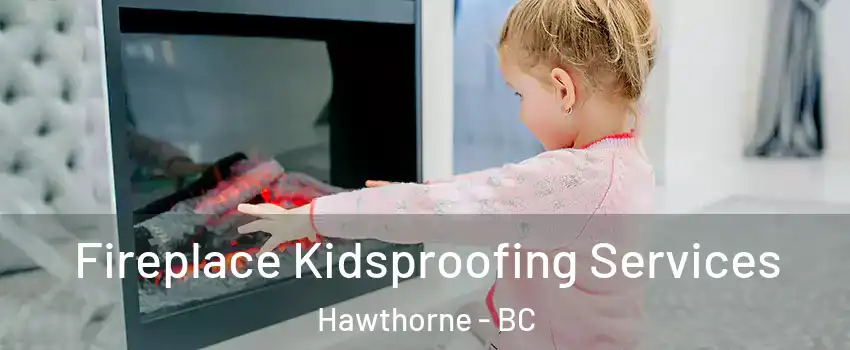  Fireplace Kidsproofing Services Hawthorne - BC