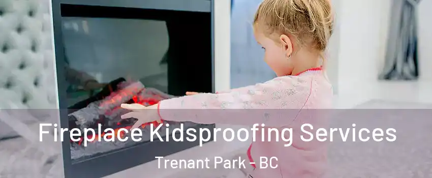  Fireplace Kidsproofing Services Trenant Park - BC