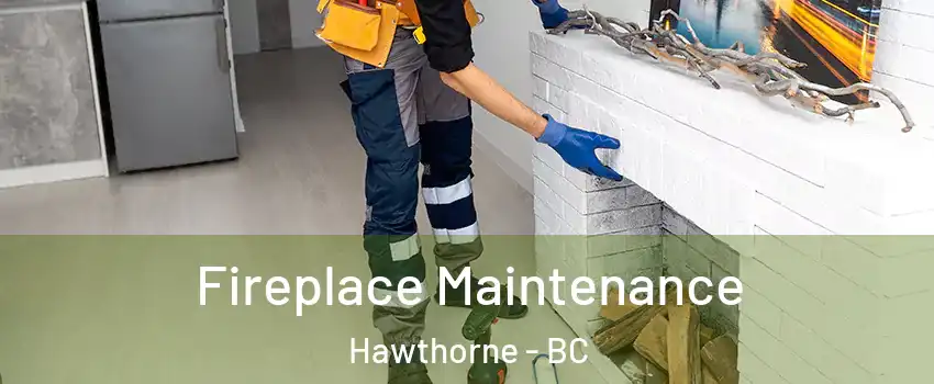  Fireplace Maintenance Hawthorne - BC