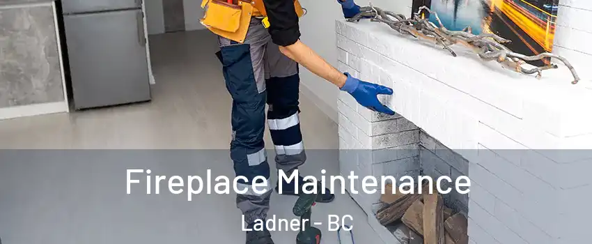  Fireplace Maintenance Ladner - BC