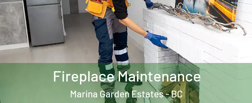  Fireplace Maintenance Marina Garden Estates - BC