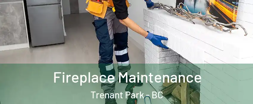 Fireplace Maintenance Trenant Park - BC
