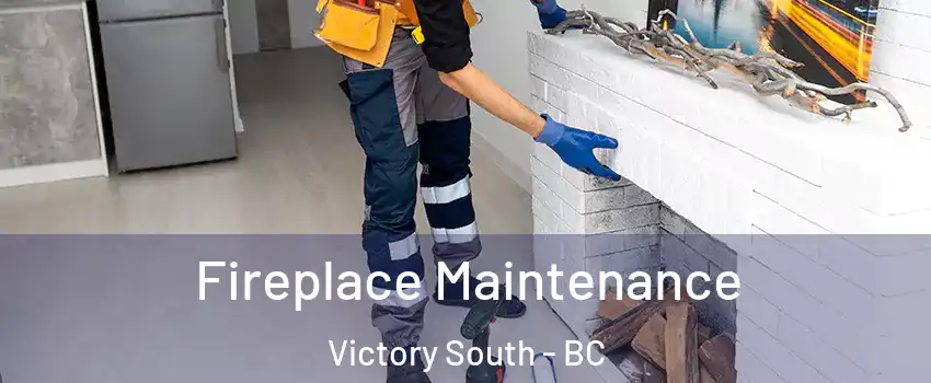  Fireplace Maintenance Victory South - BC