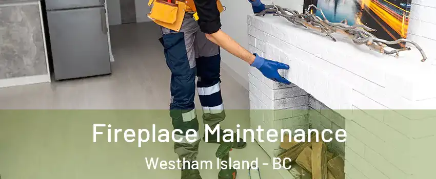  Fireplace Maintenance Westham Island - BC