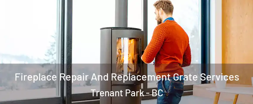  Fireplace Repair And Replacement Grate Services Trenant Park - BC