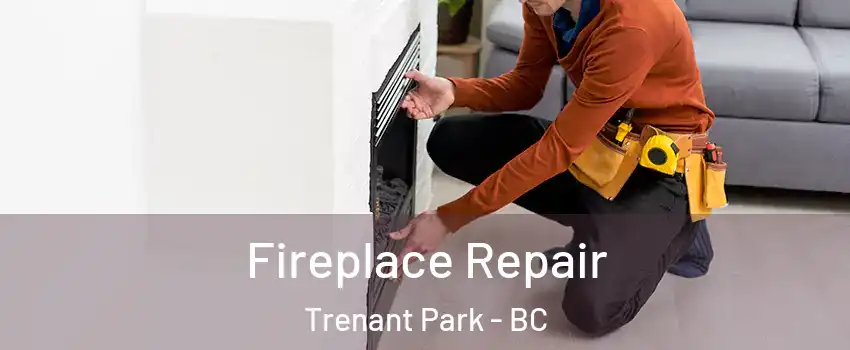  Fireplace Repair Trenant Park - BC