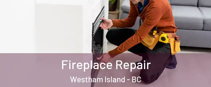  Fireplace Repair Westham Island - BC