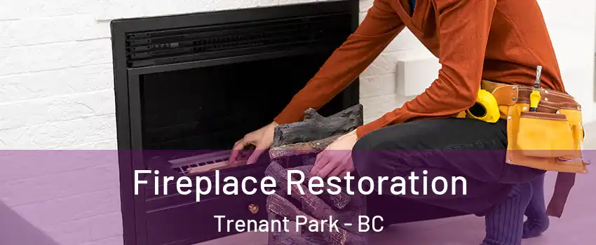  Fireplace Restoration Trenant Park - BC