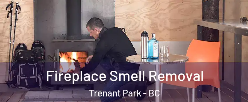  Fireplace Smell Removal Trenant Park - BC