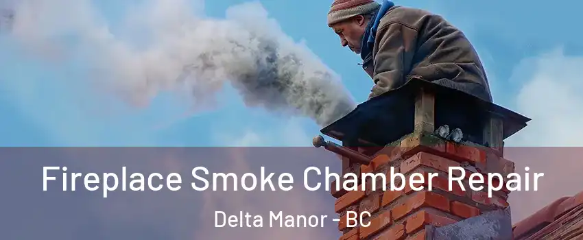  Fireplace Smoke Chamber Repair Delta Manor - BC