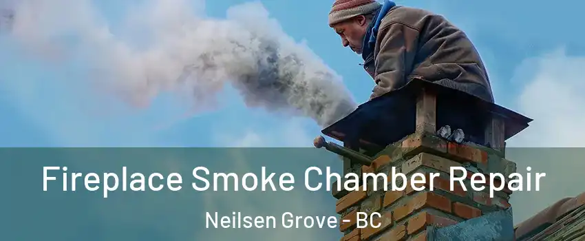  Fireplace Smoke Chamber Repair Neilsen Grove - BC
