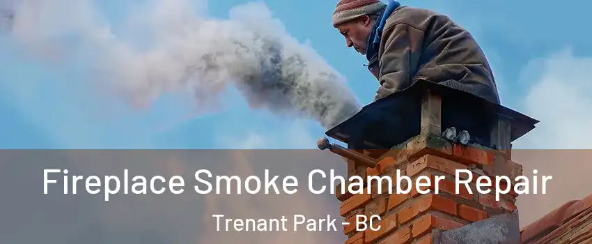  Fireplace Smoke Chamber Repair Trenant Park - BC
