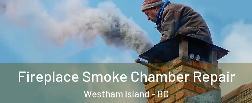  Fireplace Smoke Chamber Repair Westham Island - BC
