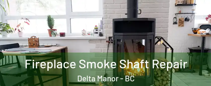  Fireplace Smoke Shaft Repair Delta Manor - BC
