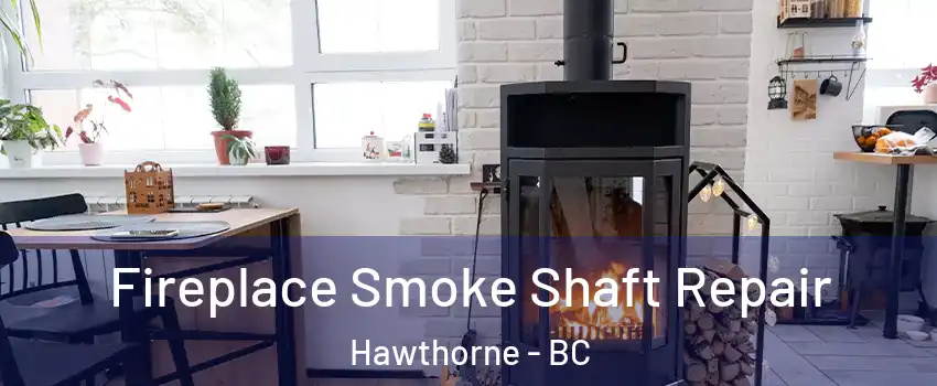  Fireplace Smoke Shaft Repair Hawthorne - BC
