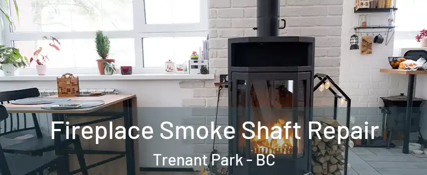  Fireplace Smoke Shaft Repair Trenant Park - BC
