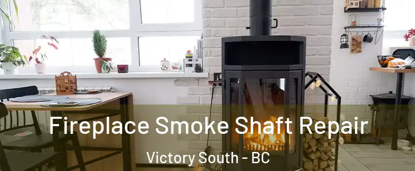  Fireplace Smoke Shaft Repair Victory South - BC