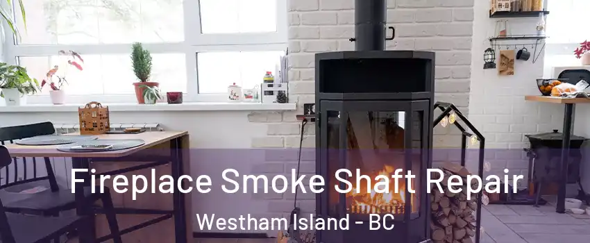  Fireplace Smoke Shaft Repair Westham Island - BC